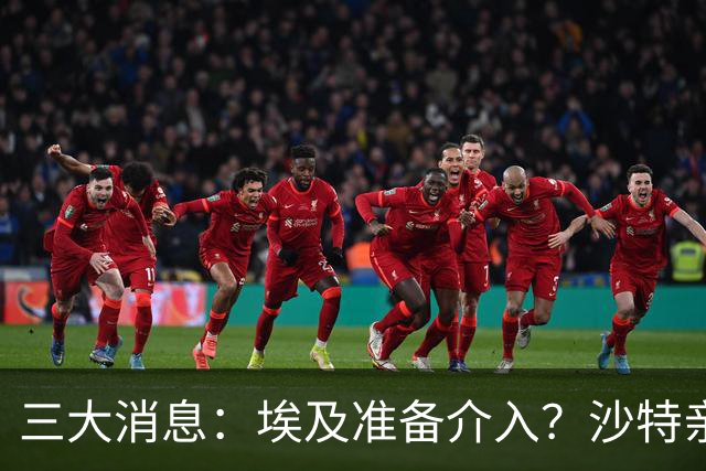 三大消息：埃及准备介入？沙特亲王求助中国，南部地区打响保卫战