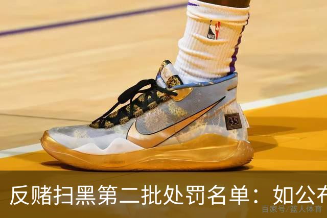反赌扫黑第二批处罚名单：如公布 应与准入同步