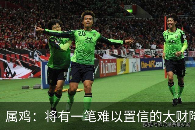属鸡：将有一笔难以置信的大财降临，2027年，你要乐开花！