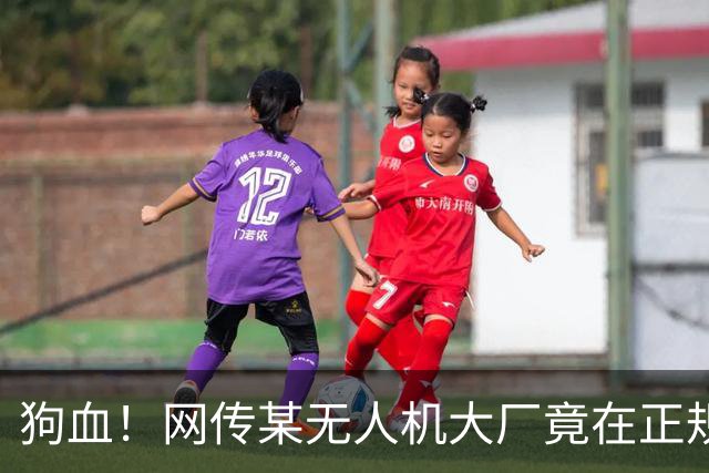 狗血！网传某无人机大厂竟在正规黑客赛事期间举报现场抓人？
