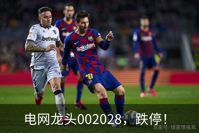 电网龙头002028，跌停！