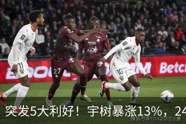 突发5大利好！宇树暴涨13%，24个机器人龙头涨停，主力流入8股