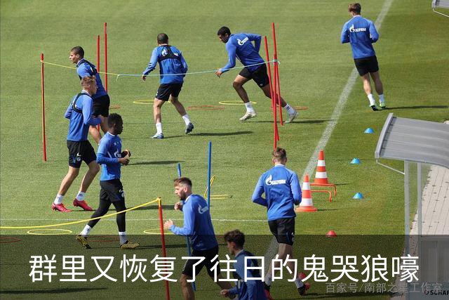 群里又恢复了往日的鬼哭狼嚎