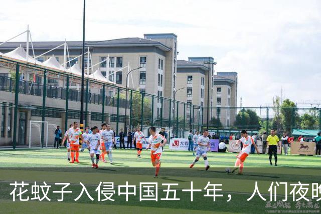 花蚊子入侵中国五十年，人们夜晚再也不能乘凉，它到底来自哪里？