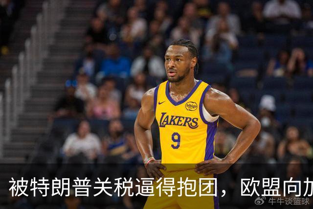 被特朗普关税逼得抱团，欧盟向加拿大抛橄榄枝，当第一个准成员国
