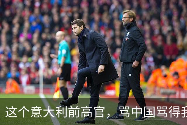 这个意大利前高官，骂中国骂得我们都不好意思还嘴