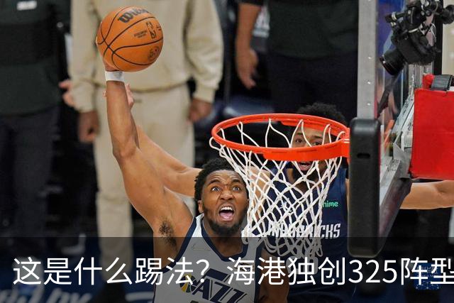 这是什么踢法？海港独创325阵型：拉爆蓉城体能，英博渔翁得利