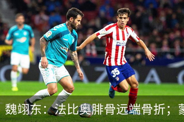 魏翊东：法比奥腓骨远端骨折；蒙哥马利合同不止一年